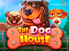 Dog house casino. Antalya galatasaray maçı canlı.4